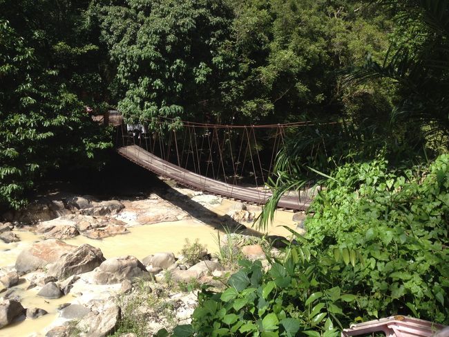 温泉が湧き出ているすぐ横には川が流れています。