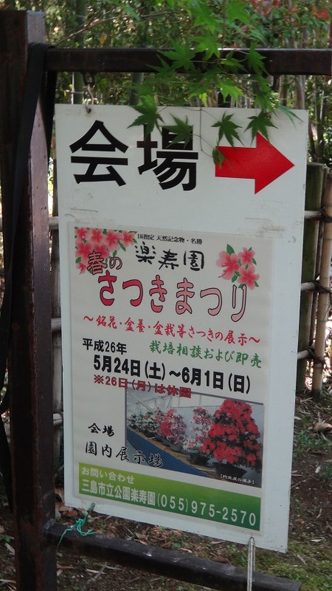 三島市立楽寿園 春のさつきまつりに展示されていた作品 三島 静岡県 の旅行記 ブログ By Hn11さん フォートラベル 三島市立楽寿園 春のさつきまつりに展示されていた作品 三島 静岡県 の旅行記 ブログ By Hn11さん フォートラベル