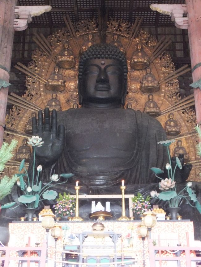 いつ見ても東大寺の大仏さまは大きいな〜。<br />外国人の女性に写真を頼まれて撮影しましたが、一人で観光しているみたいでした。<br />外国の一人旅ってすごい勇気がいるだろうに、かっこいいな〜。<br /><br />この大仏様の隣に大仏様の鼻の穴と同じ大きさの穴が空いている柱があるのですが友達が通ってみたいというのでハラハラしてみていたら意外にもスッと通れたのでよかったです。スリムな人なら大人でも通れるみたいですよ。