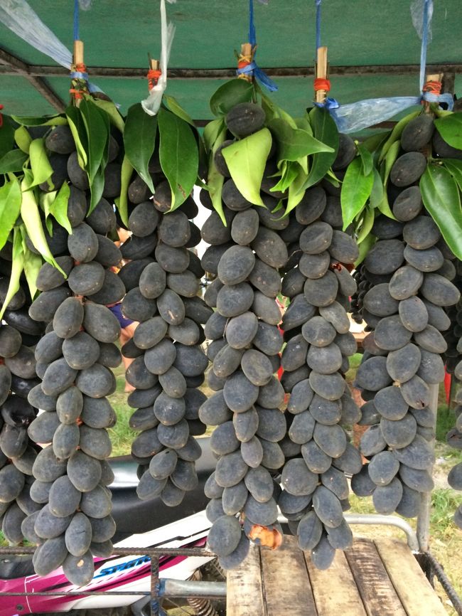 なんだこの黒い物体は〜？？<br />聞いたところ、「ルゥーイー」というとても珍しい果物らしいです。4年に一度しか実を付けないとか。山の中に自然になっているものを取ってくるのでお値段も結構します。一房200バーツです。<br />味見をさせてもらったのですが、んんん〜・・・ちょっと酸味のある干し柿のような感じか・・・