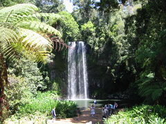 ミラミラ滝（Millaa Millaa Falls）

いかにもマイナスイオンが出てそうな、涼しげな滝でした。