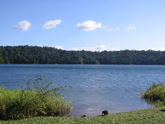 バリン湖（Lake Barrine）

火山によってできた湖のようです。