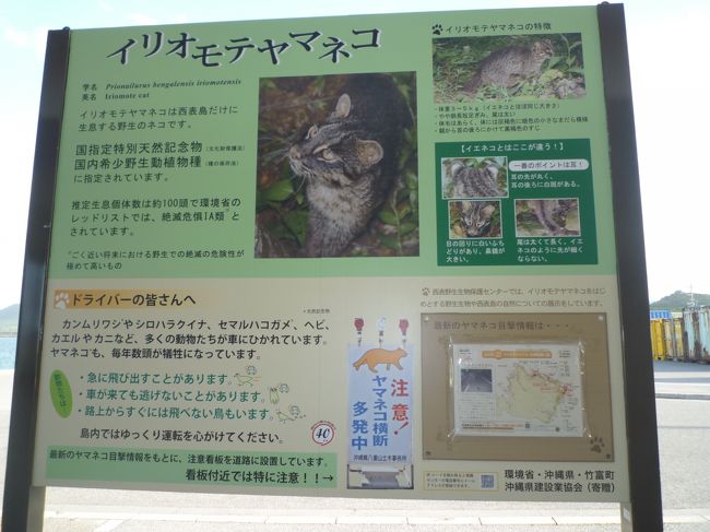 イリオモテヤマネコの生態について説明書き。<br /><br />道路標識もヤマネコ注意の看板を見かけたがなかなか遭遇することはできないらしい。