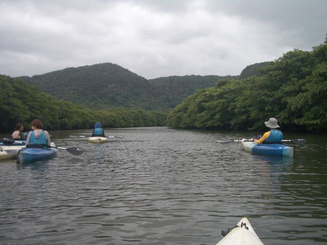 静かな川をのんびりゆっくり進む。<br /><br />聞こえるのは鳥の声だけで気持ちいい。
