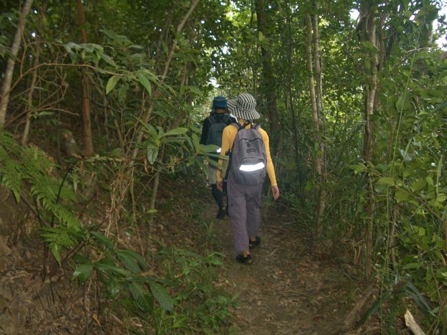 うっそうと木が茂る中を歩く。<br /><br />お天気がいまいちだったけど、炎天の中を想像するとこの方が歩きやすかった。<br /><br />ときおり吹き抜ける風が心地いい。