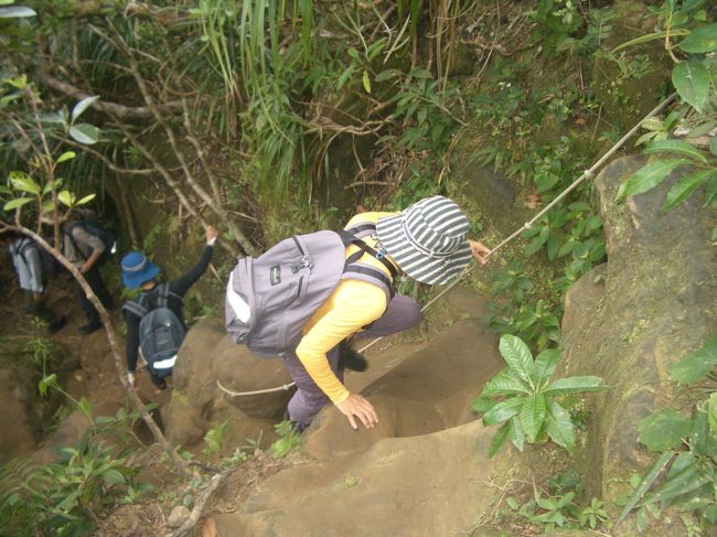 山道なのでこんな所も。