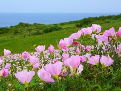 ホテルを拠点に時計回りで、石垣島を一周することにしました。

海側が常に巡光になるようにと、完全に写真のための回り方です。

せっかくなので、海は逆光では撮りたくなったので(^^;

まずは、御神崎に向かいました。