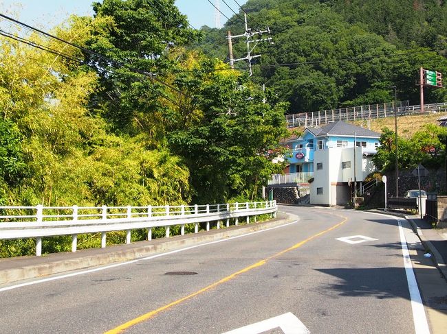 歩い て 25 分 自転車 だ と