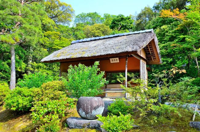 松風水月 葛野紀行④桂離宮＜後編＞』嵐山・嵯峨野・太秦・桂