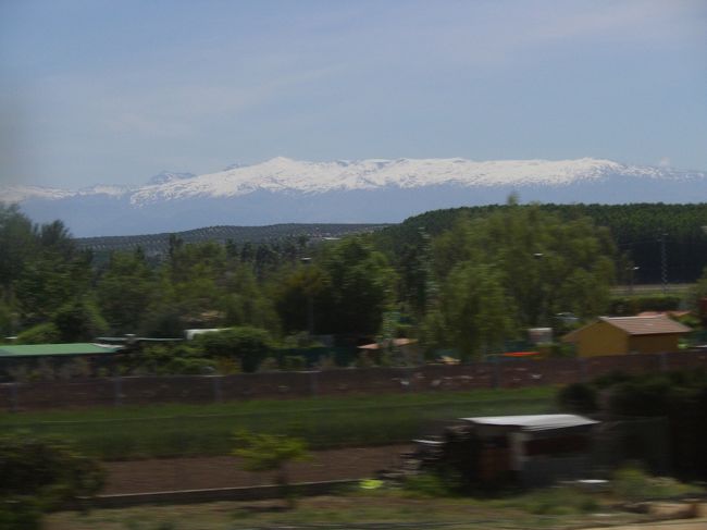 そして、遠くに見えるのが雪を抱くシエラ・ネバタ山脈