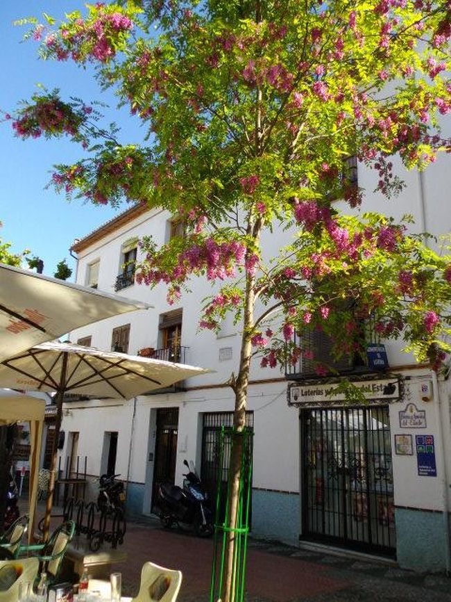 アルバイシン地区を歩く<br />広場に出ると、賑やかな音楽と人々の楽しそうな会話が