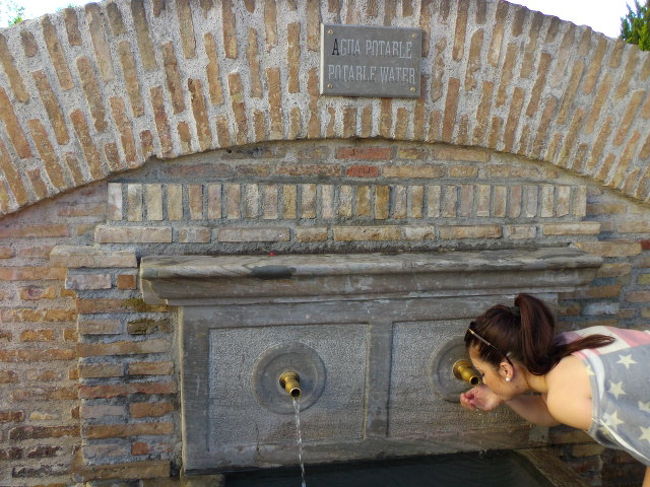 ここは水飲み場