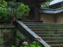 古民家を後にして、円覚寺に人が入って行くのを見て私も立ち寄ってしまいました