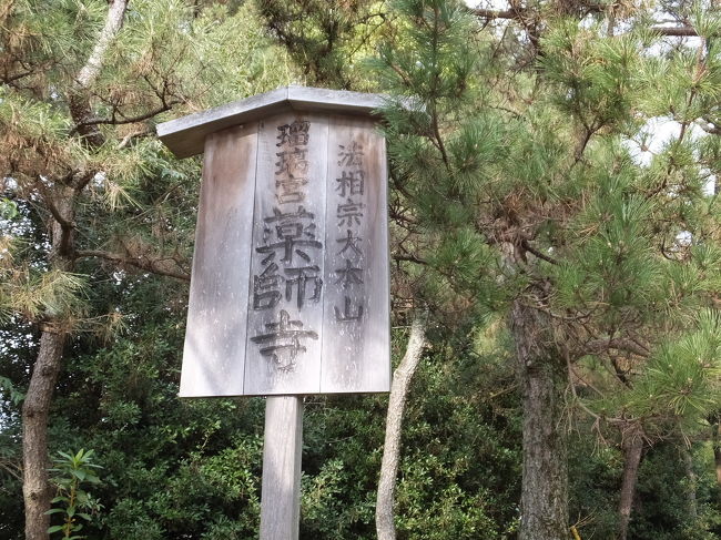 駐車場から入ると看板が