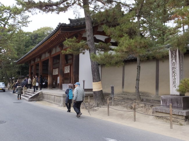 薬師寺から唐招提寺までやってきた。歩いて５分くらいです。
