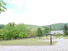 若草山の緑が綺麗。