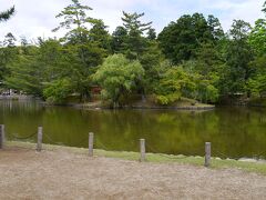 東大寺内の「鏡池」

毎年8月に行われている「奈良灯花会」ではこの辺りにも灯花が並べられ、幻想的な光景になるそう。