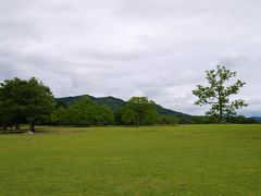 奈良公園・飛火野

大仏殿の交差点から徒歩約5分。
バスなら「春日大社表参道」下車目の前。

だだっ広い、草原が広がります。
