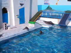 一人で水族館というのも結構寂しい