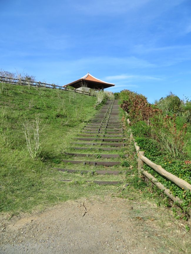 展望台までの階段も期待があがります。