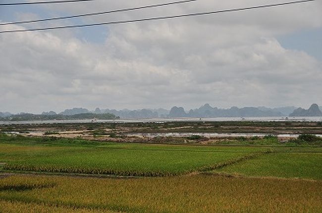 田植えのシーズンでのどかな田園風景が広がる。<br />遠くにハロン湾名物、奇怪な岩山が見えてきた。<br /><br />ところで、ドライブ中車両のクラクションの音がものすごく気になった。ガンガン鳴らすんだね。<br />ラオスでほとんど耳にしないからだろう。