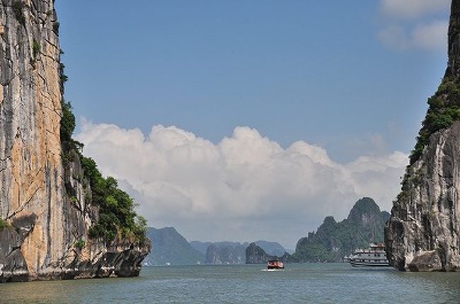 初期のドラゴンボールの世界という人も。