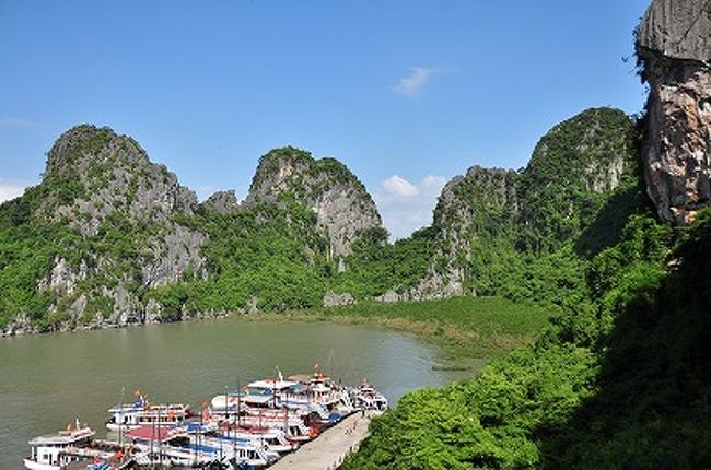 ズラリと並んだボートの数がすごい。<br />