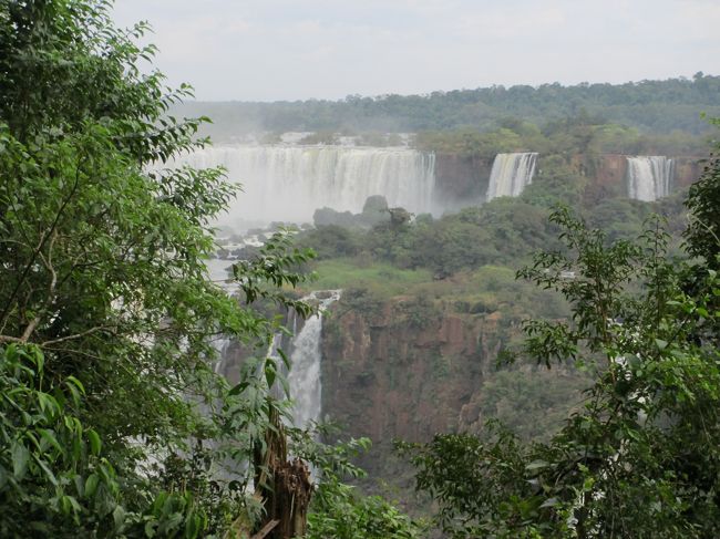 　サン・マルティン島の上の方。
