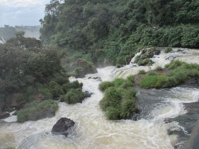 <br />け公草とかが生えています。<br />生命力ってすごいです。