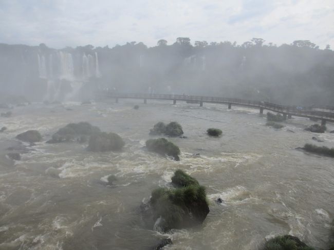 　先ほど歩いた遊歩道が見えます。