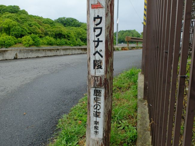 次は海龍王寺を目指します。<br /><br />途中に大きな古墳発見。