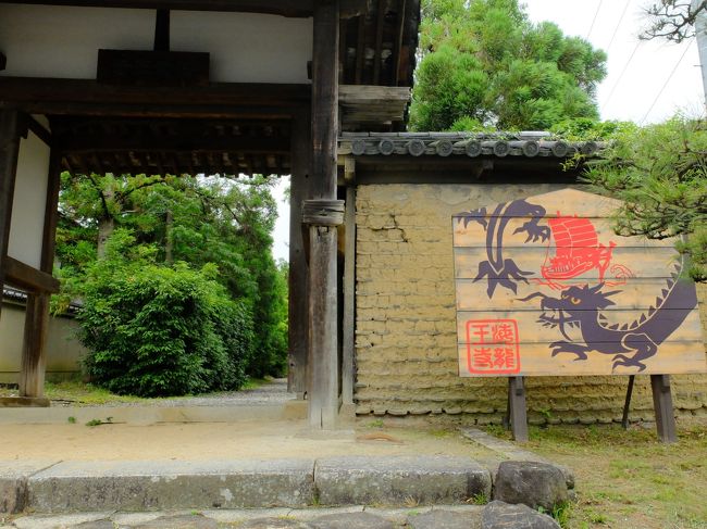 さて、海龍王寺に到着。<br />ここの観音様は長く秘仏とされていたので金ぴかで保存されてます。<br />「そうか、最初はみんなこんな感じだったのか」といろんな仏様に想像をめぐらせます。