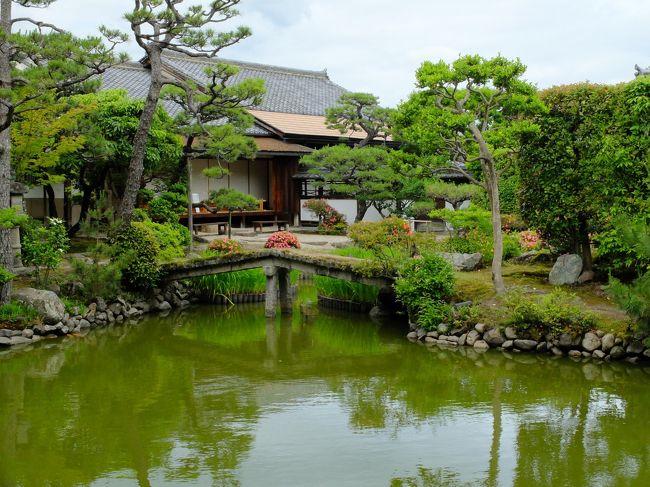 中の庭園もきれいです。尼寺ということも関係しているのか、手入れが行き届いてます。