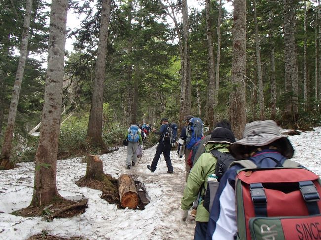雪が残る　山道を　一歩　一歩　しっかり踏みしめながら<br />滑ってこけないように　小股で歩きます。