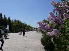小樽へ行く前に、札幌市白石区の川下公園へ。
この日、ライラックまつりがちょうど開催されていたのです。