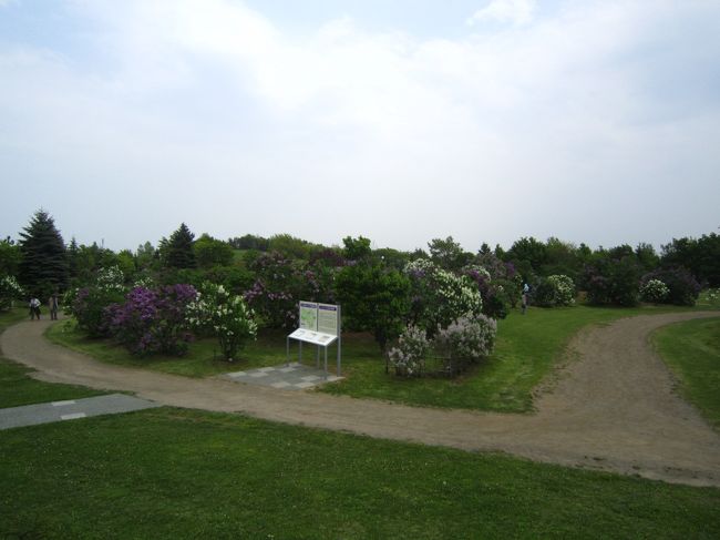 園内には、世界のライラック200種、1700本を植えた「ライラックの森」です。<br />今日はお天気が今一つです〜(T_T)<br />