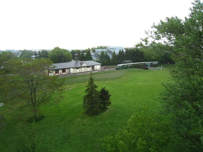 展望台から見た、リリートレイン♪