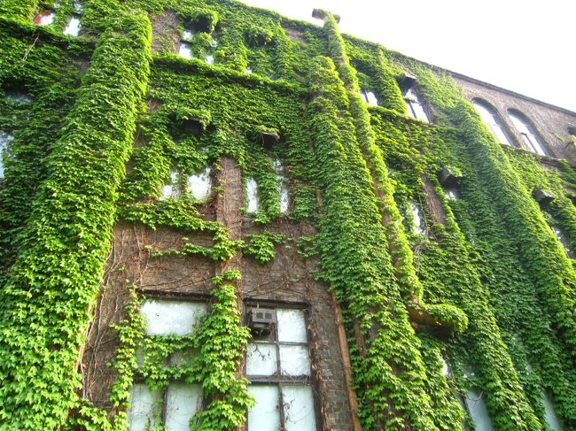 素晴らしいね＠＠；