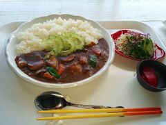 お昼はHaaYa nagomi-cafeで島やさいカレー８５０円