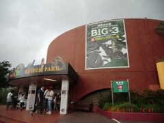 おきなわワールドにやって来ました。
ここは、鍾乳洞の玉泉洞や王国村などがありますが、本日のお目当てはヘビです。
ハブ博物公園でハブの習性や対処法などを学ぶ事にしましょう。

おきなわワールド･ハブ博物公園
沖縄県南城市玉城前川1336
?098-949-7421
9:00-18:00
フリーパス 大人1650円
ハブ博物公園　大人620円
http://www.gyokusendo.co.jp