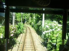 江ノ電に乗って，極楽寺駅から長谷寺へ。
写真は御霊神社のところの紫陽花。