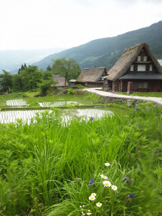 世界遺産バスに乗って五箇山の相倉合掌造り集落へ。<br />素敵な風景が広がっていました。