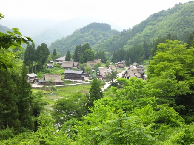 全体を見渡せる所まで来たところで雨が降り出しました。<br />バス停に戻る頃は大雨。<br />車でいらしたご夫婦に声をかけて頂きましたが残念ながら行先が逆でした。<br />親切な方だ…自分に出来るかなぁと考えました。