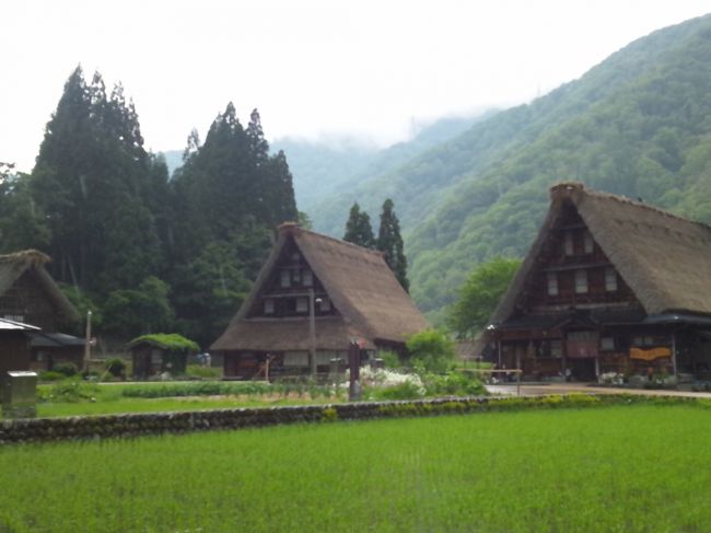 バスで菅沼合掌造り集落に来ました。<br />こちらはこじんまりとしていますがそれも素敵です。<br />