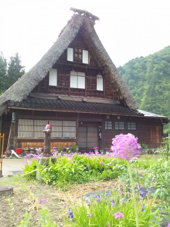 草花もとてもきれいでした。<br />ただこの季節は毛虫が山ほどいてやや怖いです。