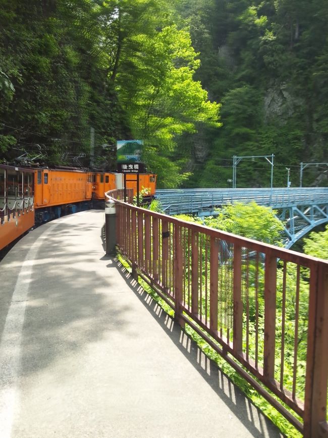 黒薙駅で下車しました。<br />降りる人は取材らしい３人さんと私だけでした。