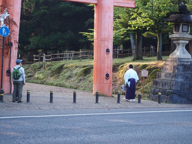 そしてもう一方。