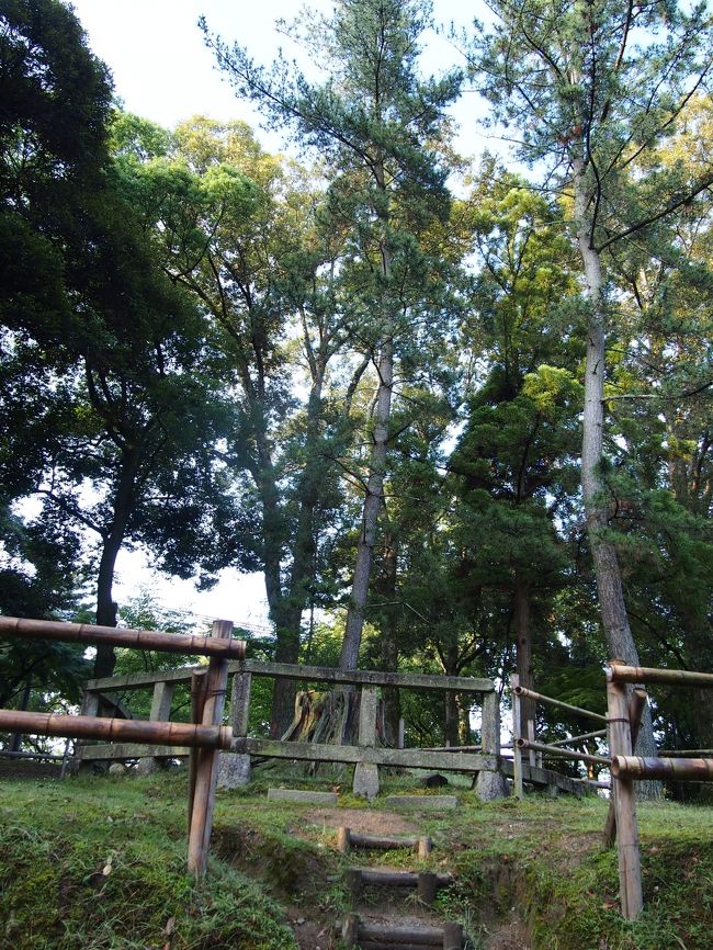 御神木『影向之松（ようごうのまつ）』。<br /><br />昔、この松の前で猿楽座が舞を舞い、それが今のお能になったのだそう。<br /><br />そのため、現在の能楽舞台に描かれている松がこの影向之松ということらしいです。<br /><br />わたし、ご神木やご神岩って神社の「パワーの源」的存在だと思っていたのですが、本当は神様が天から降りてくる時の「目印」なんだそう。