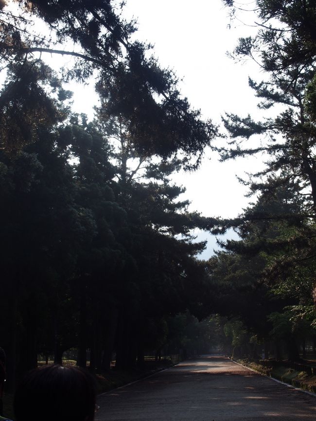 馬出橋からの参道をお祭りの際に二頭の馬が競争するということ。<br /><br />この競馬、左右の馬の勝敗によって演奏順を決める「勝負舞」。<br /><br />迫力があるそうですよ。<br /><br />