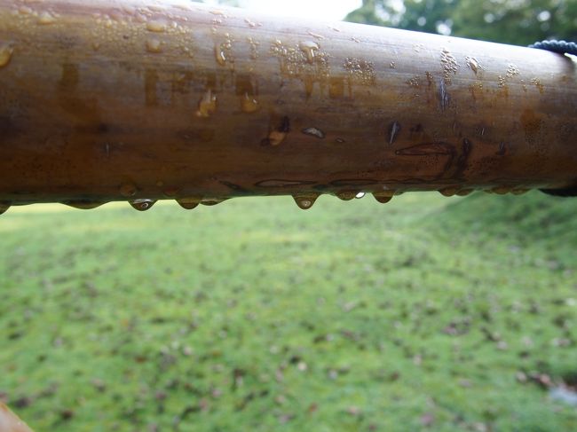 昨夜の雨の名残かしら。<br /><br />『若宮御旅所』のこの柵はおん祭りでは紙の柵に変わり、ある役の人がその柵を剣で切って一般人が入れるようになるのですが、その切る作業が上手くいかなかったことがあり、そこから『埒（柵）があかない』という語源が生まれたそうです。<br /><br />他にもこの春日大社発祥の語源が色々あるそうですよ。